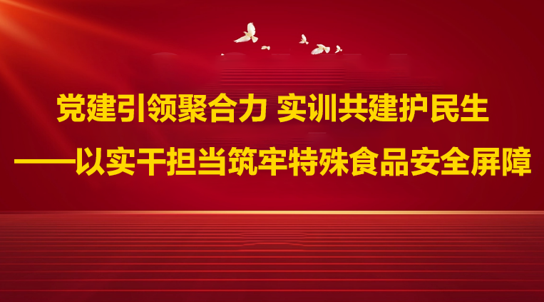 党建引领聚合力 实训共建护民生 ——以实干担...